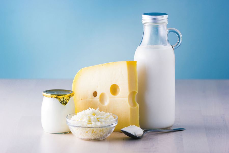 Dairy processing line