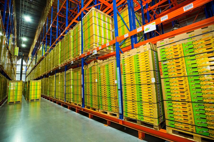 Cold chain logistics warehouse